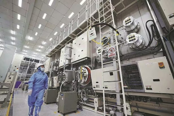 EU đề xuất hạn chế xuất khẩu lươn trên toàn cầu